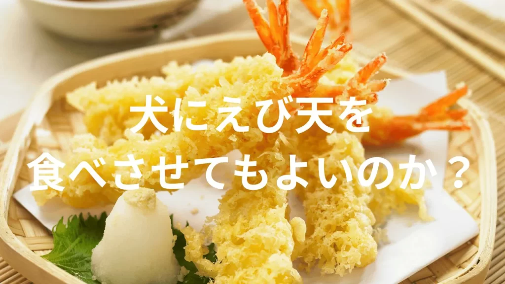 犬にえび天を食べさせても大丈夫?犬はえび天を食べていい?与える際の注意点を解説