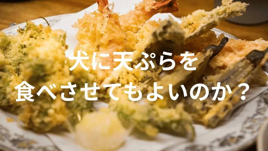 犬に天ぷらを食べさせても大丈夫?犬は天ぷらを食べていい?与える際の注意点を解説