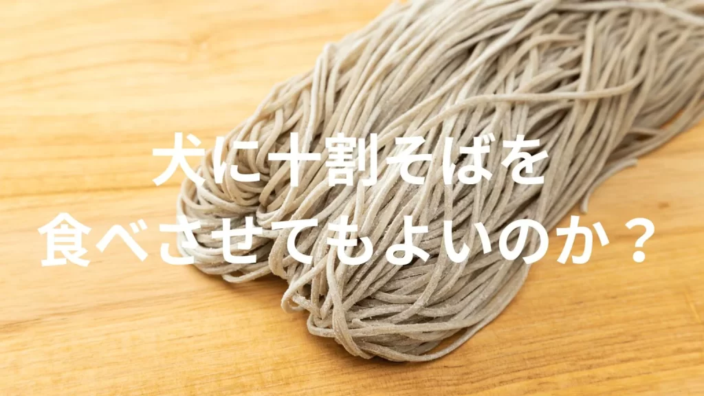 犬に十割そばを食べさせても大丈夫?犬は十割そばを食べていい?与える際の注意点を解説