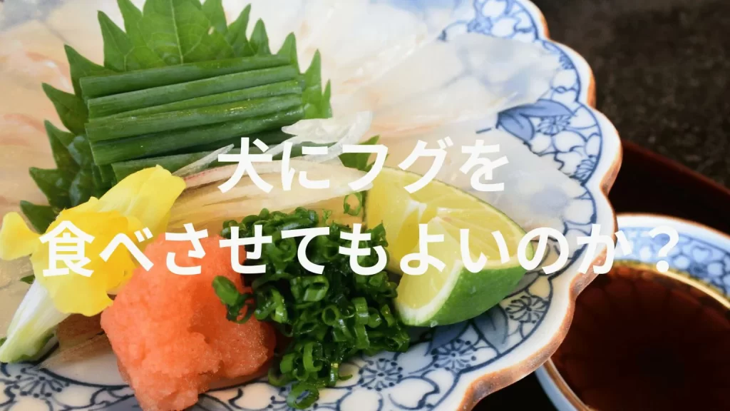 犬にフグを食べさせても大丈夫？犬はフグを食べていい？与える際の注意点を解説