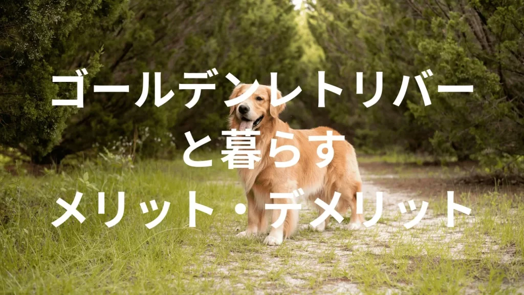 ゴールデンレトリバーは飼うと大変？メリット・デメリットと飼い方の注意点