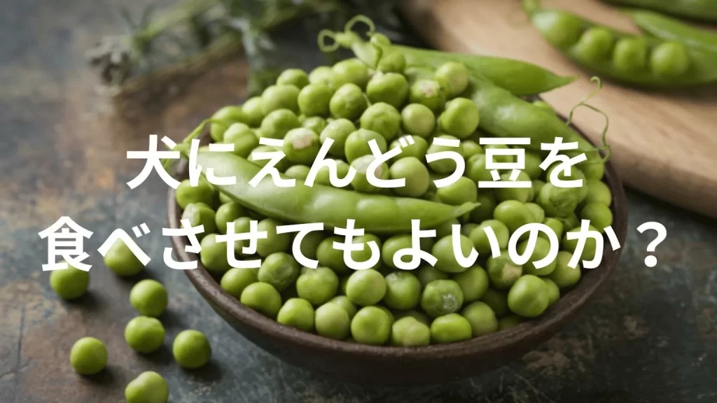 犬にえんどう豆を食べさせても大丈夫?与えてよい量や注意点を解説