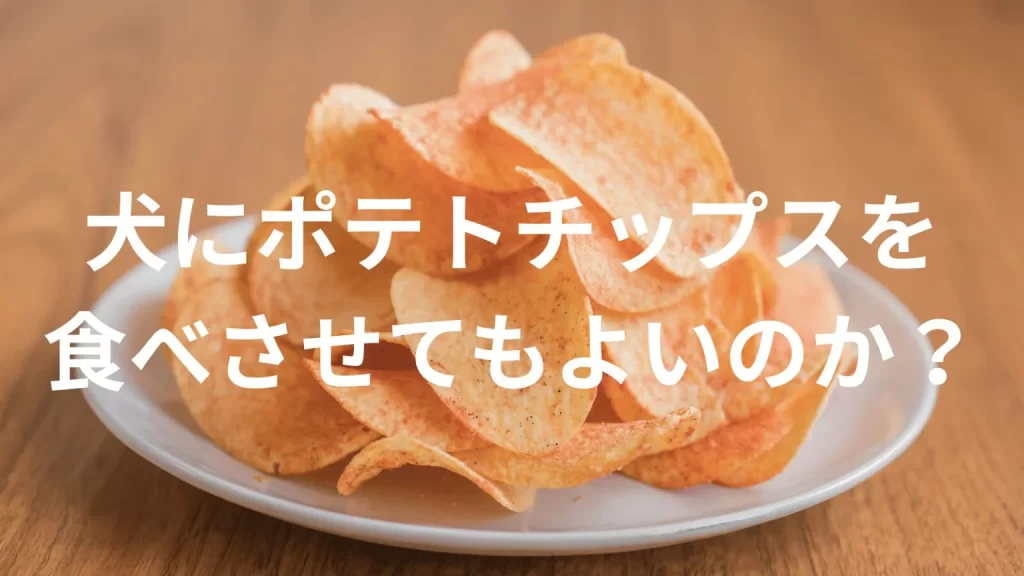 犬にポテトチップスを食べさせても大丈夫？犬はポテトチップスを食べていい？与える際の注意点を解説