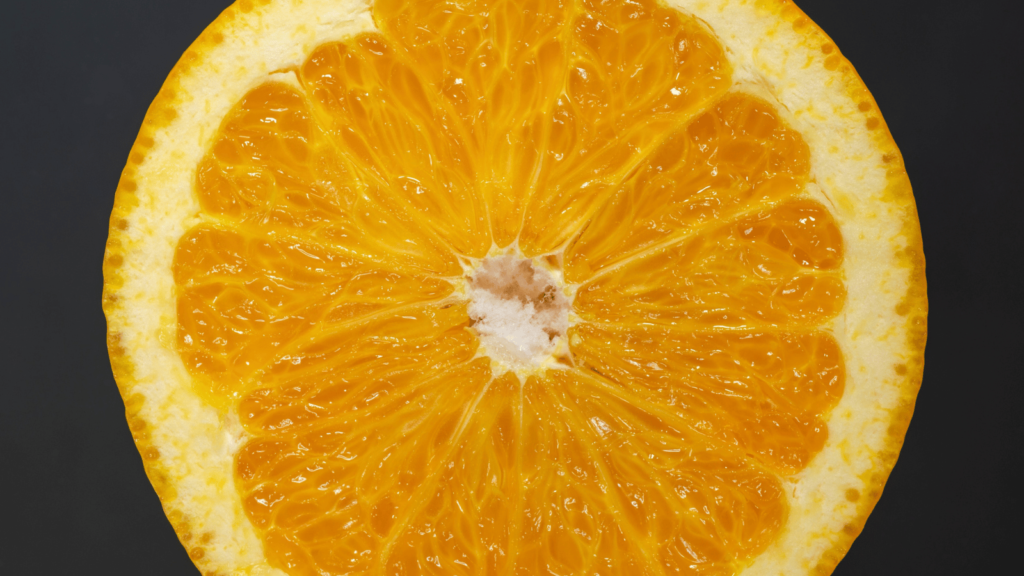 犬に八朔（はっさく）を食べさせても大丈夫？犬は八朔を食べていい？与える際の注意点を解説